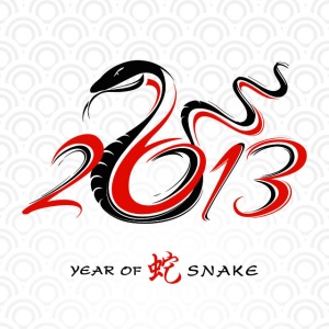 2013 - Año de la serpiente